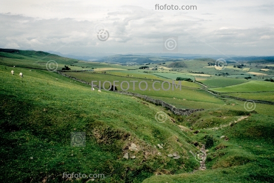 Agricultural moorland and grazing