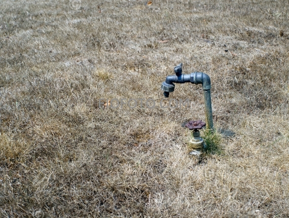 Burnt lawn and old water tap. Black Summer 2019